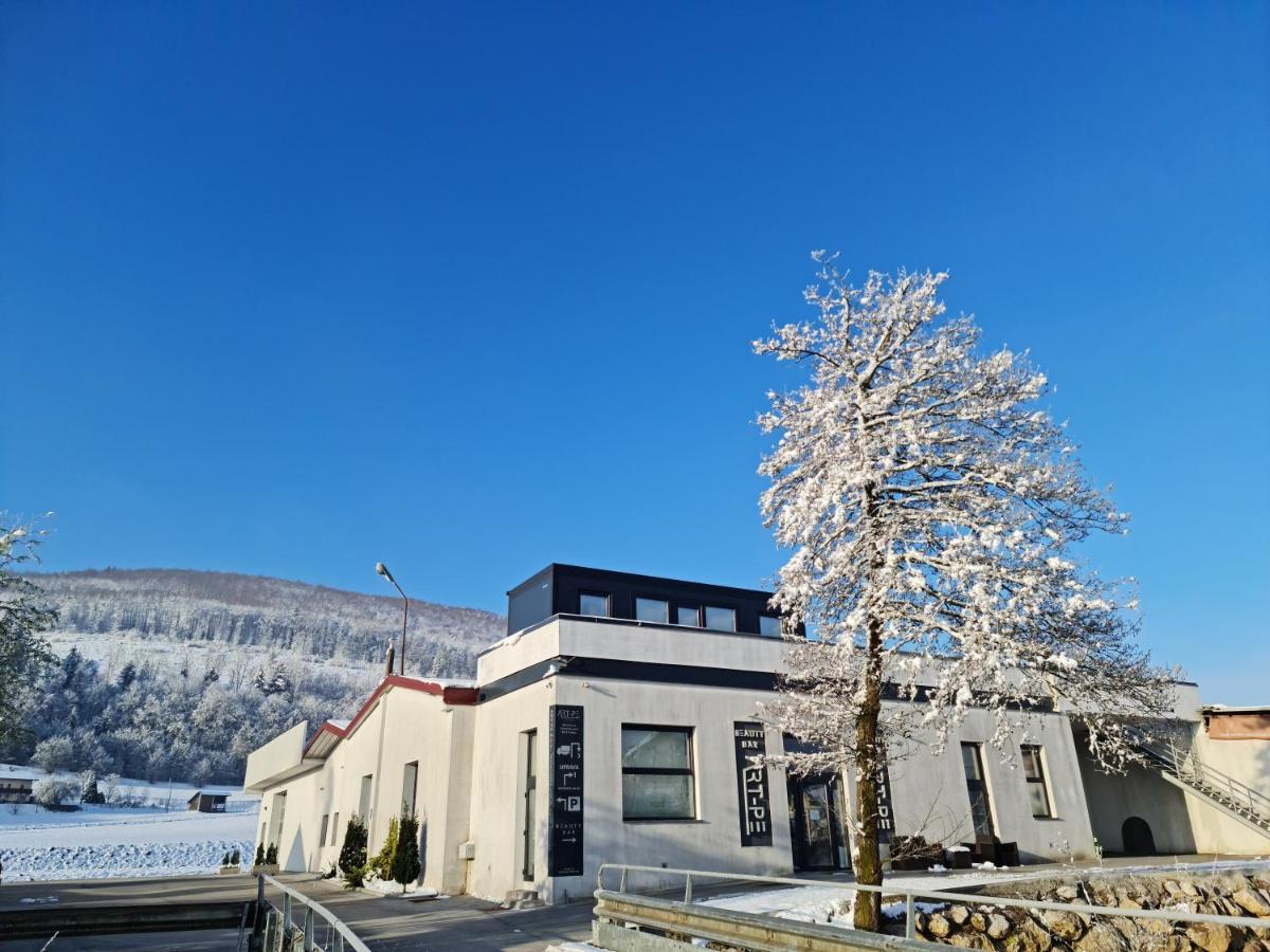 Roof Apartment Art-Pe Trebnje Ngoại thất bức ảnh